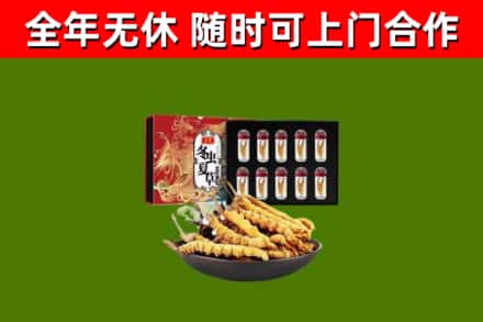 太湖县回收冬虫夏草价格